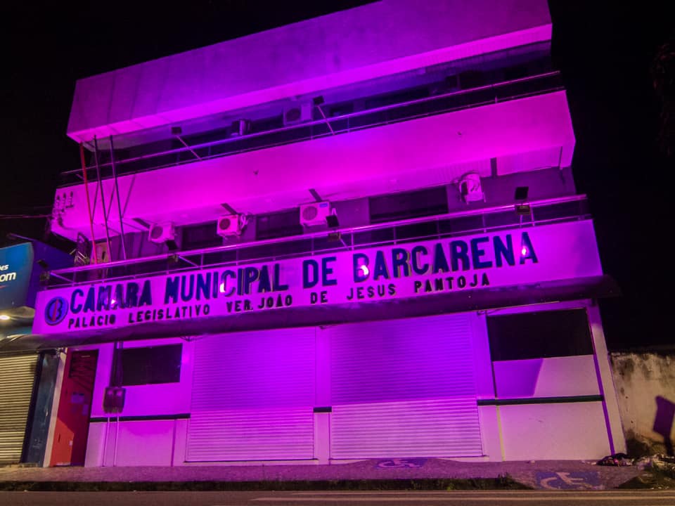 Março Lilás, A Câmara Municipal de Barcarena apoia essa causa